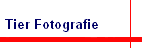 Tier Fotografie